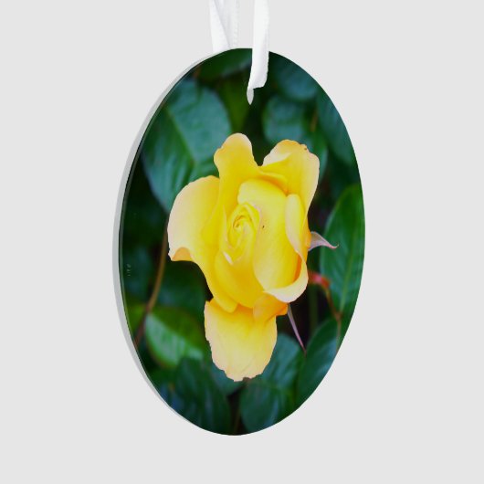 Op Sunshine Roos #1 Ornament lopen (voorkant)