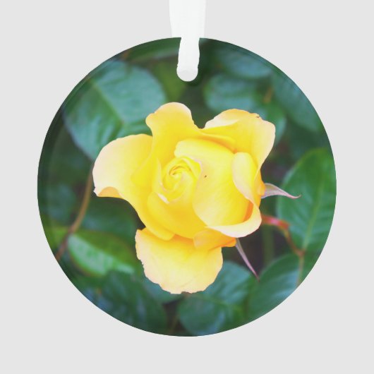 Op Sunshine Roos #1 Ornament lopen (achterkant)