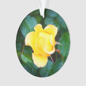 Op Sunshine Roos #1 Ornament lopen (voorkant)