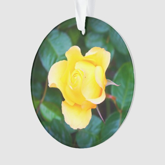 Op Sunshine Roos #1 Ornament lopen (voorkant)