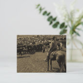 Op Texas Plains onder de Skies of Blue Briefkaart (Staand voorkant)