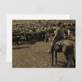 Op Texas Plains onder de Skies of Blue Briefkaart (Voorkant / Achterkant)