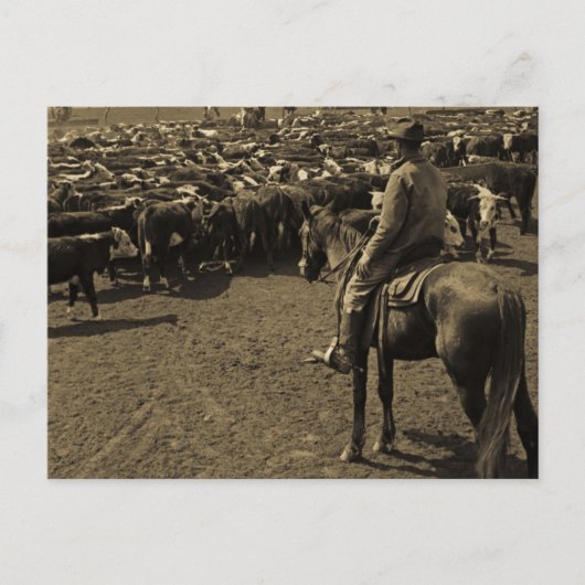 Op Texas Plains onder de Skies of Blue Briefkaart (Voorkant)