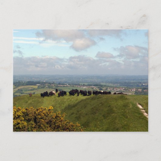 Op Top Cley Hill Briefkaart (Voorkant)