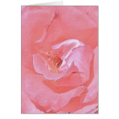 Op uw reis samen - Roze Rose (Voorkant)
