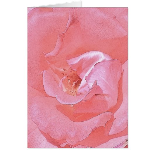 Op uw reis samen - Roze Rose (Voorkant)