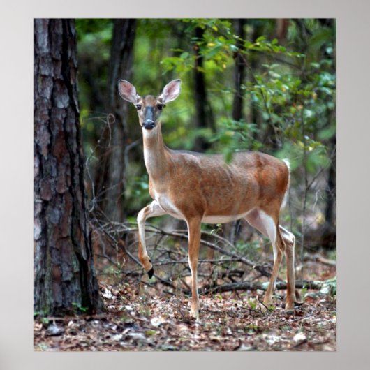 Op waarschuwing poster (Voorkant)