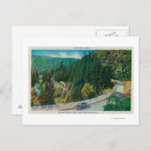 Op weg naar Big Trees van Santa Cruz Briefkaart (Voorkant / Achterkant)