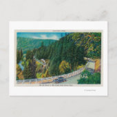 Op weg naar Big Trees van Santa Cruz Briefkaart (Voorkant)