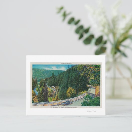 Op weg naar Big Trees van Santa Cruz Briefkaart (Staand voorkant)