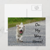 Op weg naar huis briefkaart (Voorkant / Achterkant)