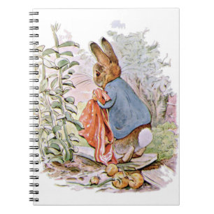 Op weg naar huis liet Peter de meeste uien vallen Notitieboek