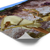 Op weg naar huis na de jacht. poster (Hoek)