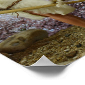 Op weg naar huis na de jacht. poster (Hoek)