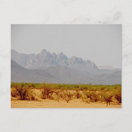 op weg naar Lordsburg, NM Briefkaart (Voorkant)