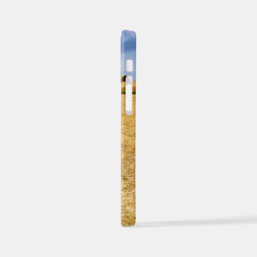 Op weg naar Sansol iPhone Hoesje (Linkerkant)