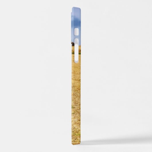 Op weg naar Sansol iPhone Hoesje (Linkerkant)