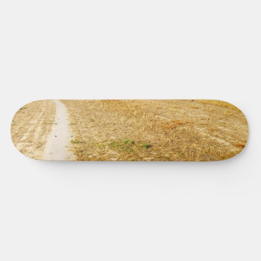 Op weg naar Sansol Persoonlijk Skateboard (Horizontaal)