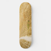 Op weg naar Sansol Persoonlijk Skateboard (Voorkant)