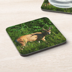 Op weg zijn drankjes onderzetter