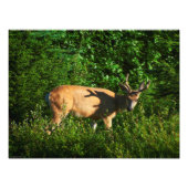 Op weg zijn foto afdruk (Voorkant)