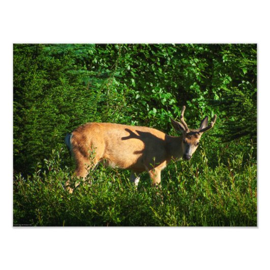 Op weg zijn foto afdruk (Voorkant)