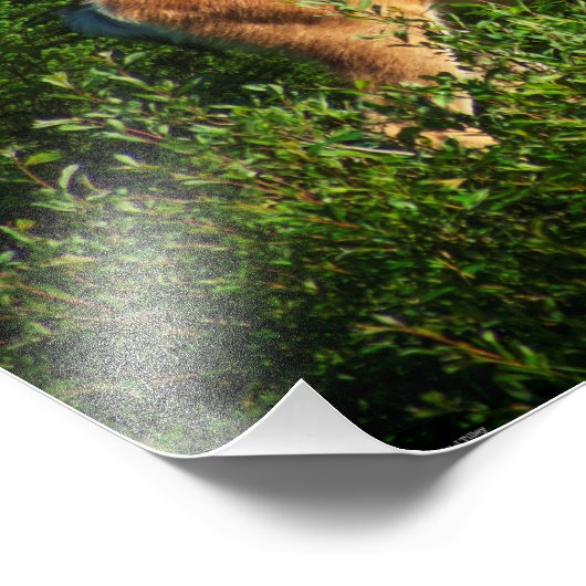 Op weg zijn foto afdruk (Hoek)