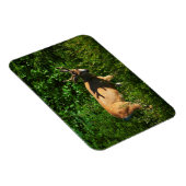 Op weg zijn magneet (Rechterzijde)