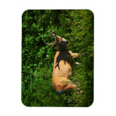 Op weg zijn magneet (Verticaal)