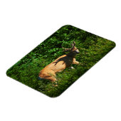 Op weg zijn magneet (Linkerzijde)