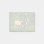 Op weg zijn post-it® notes (Voorkant)