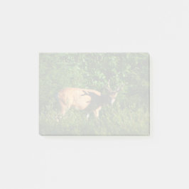 Op weg zijn post-it® notes