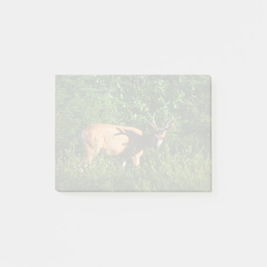 Op weg zijn post-it® notes (Voorkant)