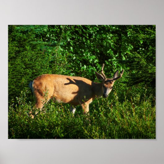 Op weg zijn poster (Voorkant)