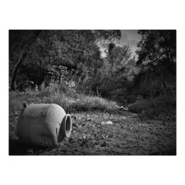 "Op weggegooide grond" Foto Afdruk