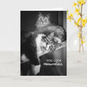 Op zoek meowvelous verjaardag Kaart (Gele Bloem)