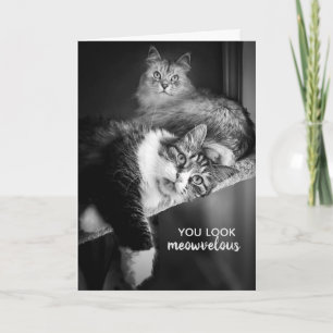 Op zoek meowvelous verjaardag Kaart