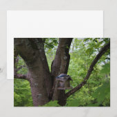 Op zoek naar een eten-biet kaart (Voorkant / Achterkant)