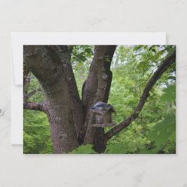 Op zoek naar een eten-biet kaart