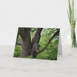 Op zoek naar een hapje om te eten kaart