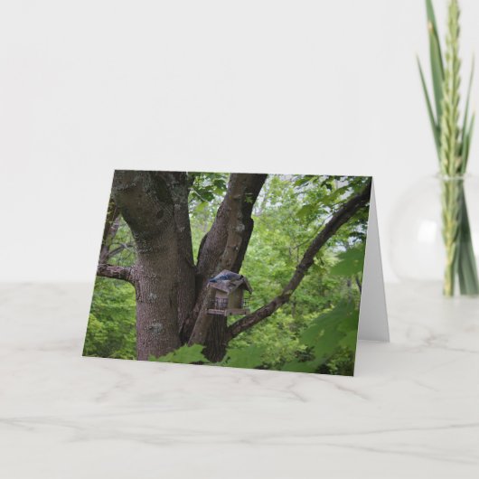 Op zoek naar een hapje om te eten kaart (Voorkant)