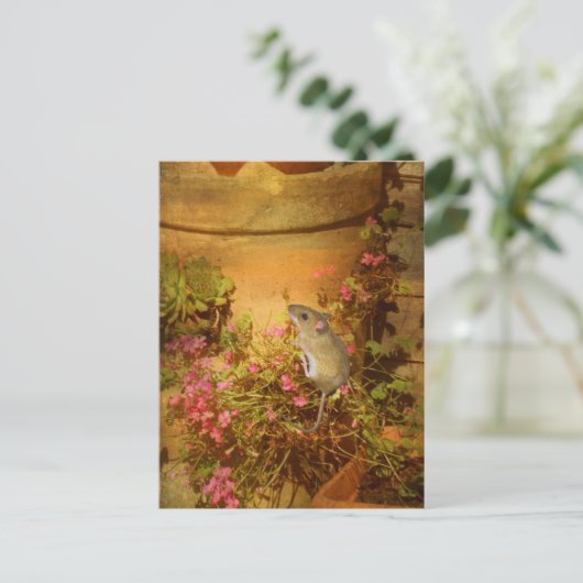 Op zoek naar een thuis. briefkaart (Staand voorkant)