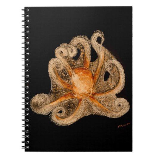 Op zoek naar een zelfbedieningsnotebook (80 pagina notitieboek (Voorkant)