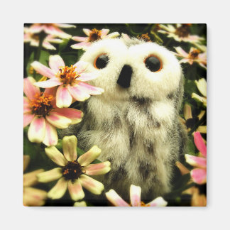 Op zoek naar feeën magneet