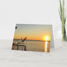 Op zoek naar het Sunset wenskaart