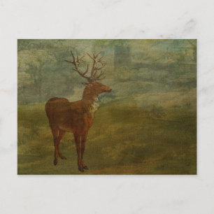 Op zoek naar Landseer Briefkaart