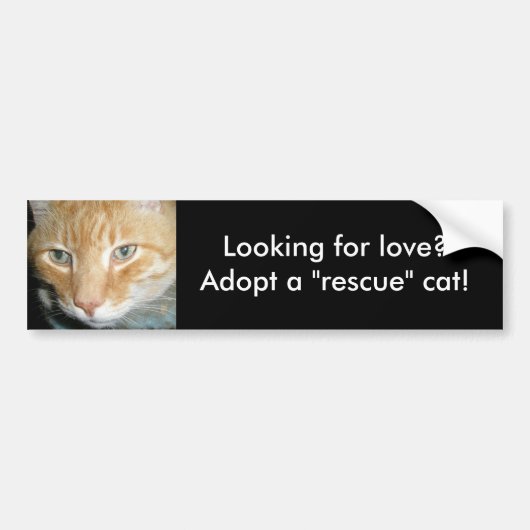 Op zoek naar liefde?Neem een Bumpersticker van de  (Voorkant)