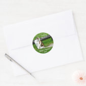 Op zoek naar liefde? Neem een "redding" kat! Stick Ronde Sticker (Envelop)