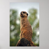 Op zoek naar liefde poster (Voorkant)