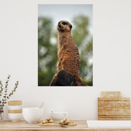 Op zoek naar liefde poster (Keuken)